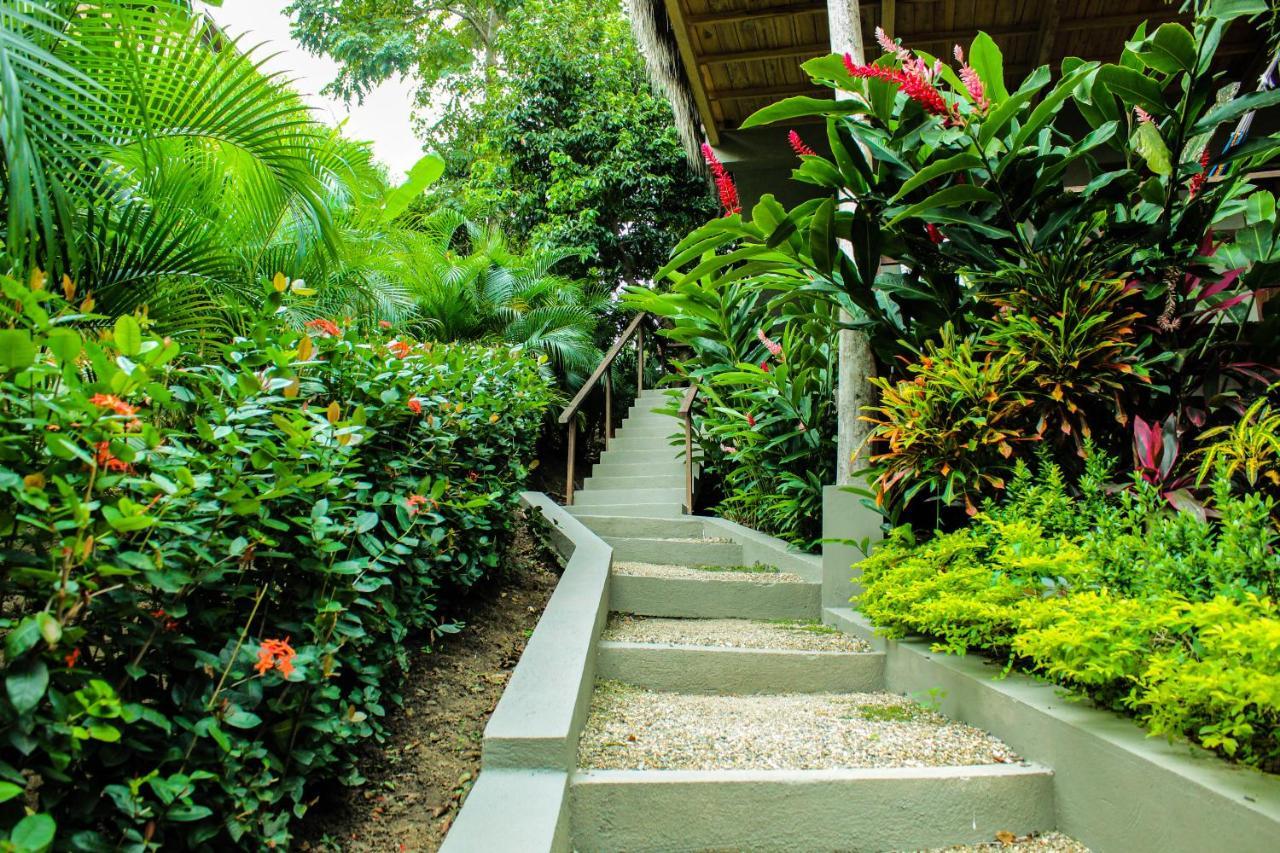 Hotel Isabella Tayrona Los Naranjos Extérieur photo