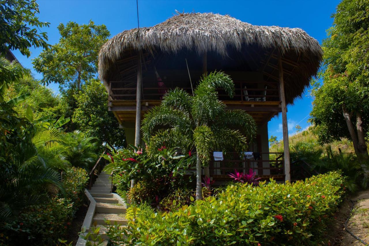 Hotel Isabella Tayrona Los Naranjos Extérieur photo
