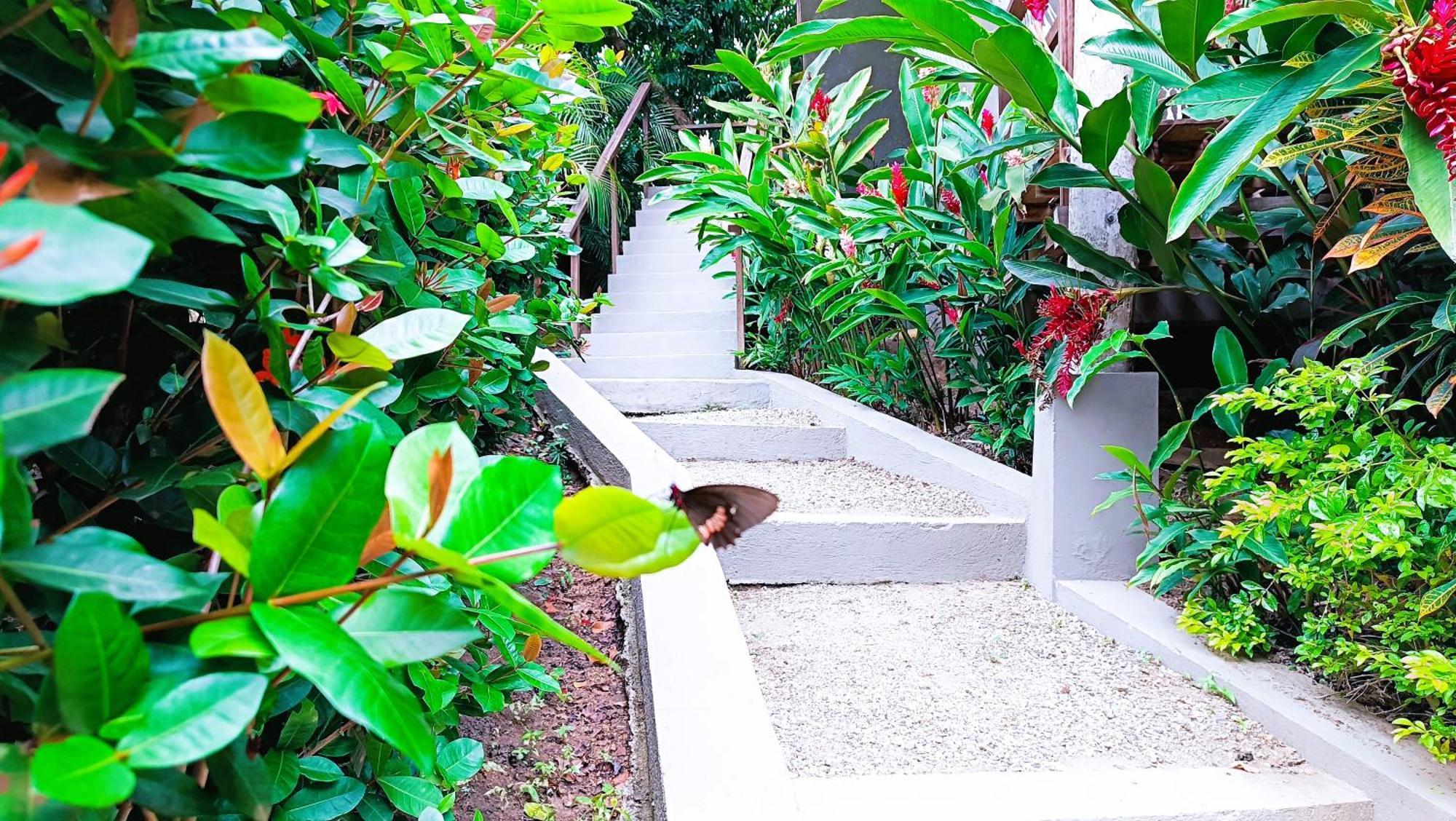 Hotel Isabella Tayrona Los Naranjos Extérieur photo