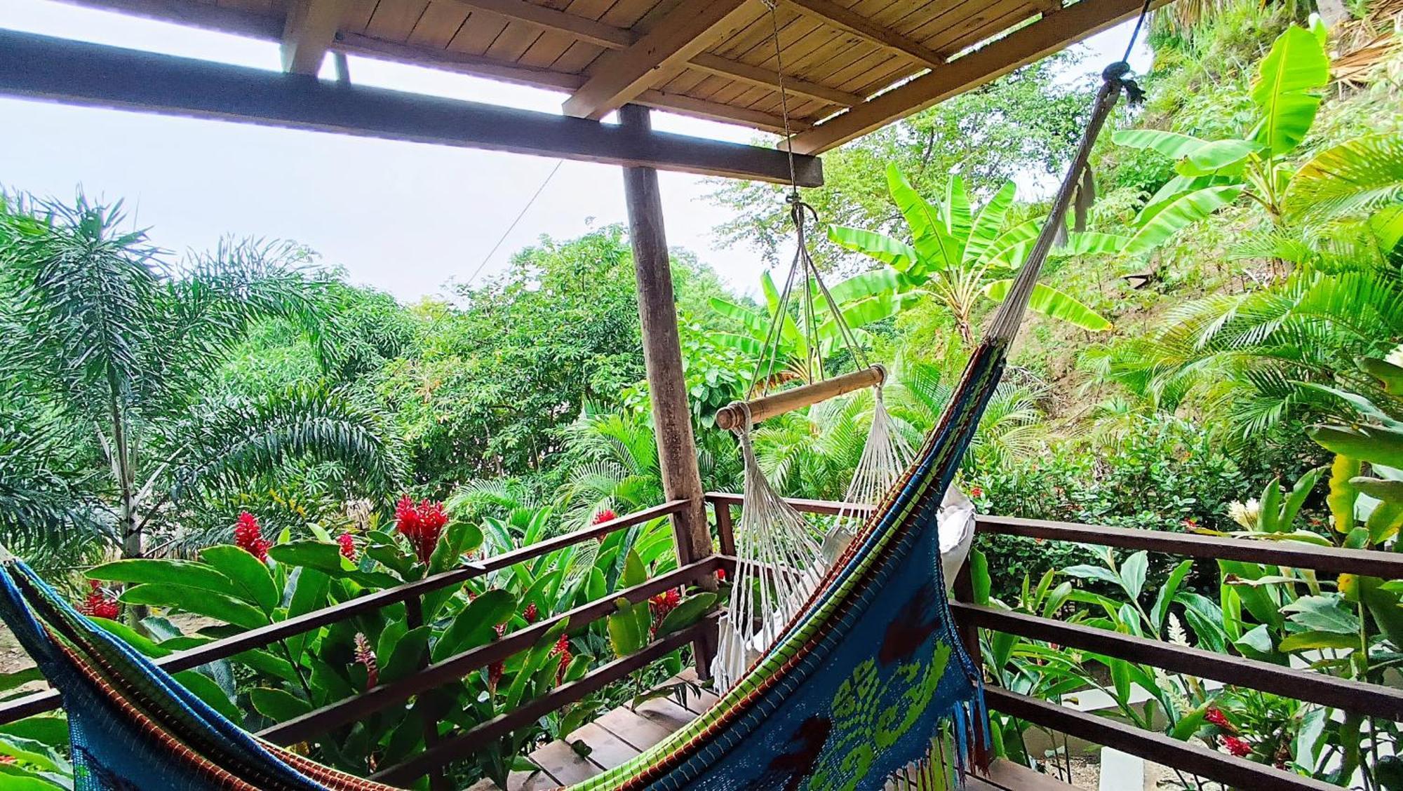 Hotel Isabella Tayrona Los Naranjos Extérieur photo